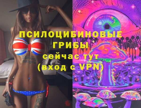 бошки Балахна