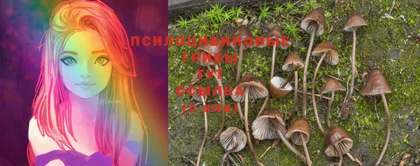 бошки Балахна