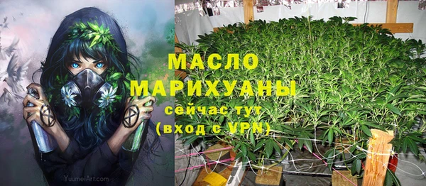 крисы Каменногорск
