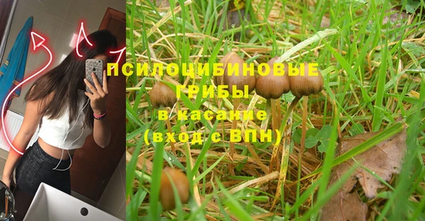 бошки Балахна