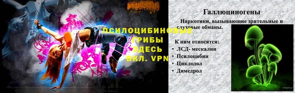 шишки Баксан
